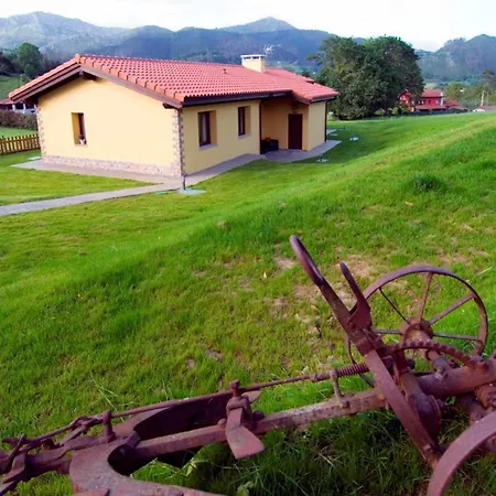 Ecoviella * Coviella