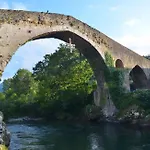 Ecoviella
