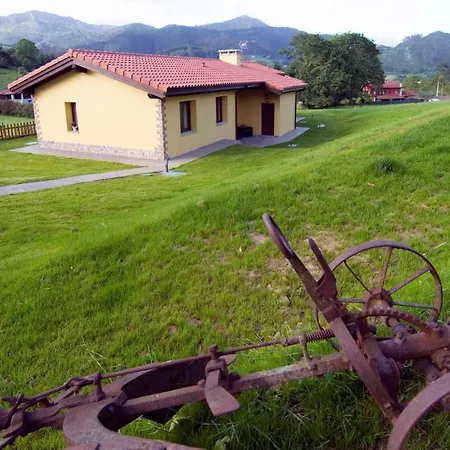 Ecoviella *